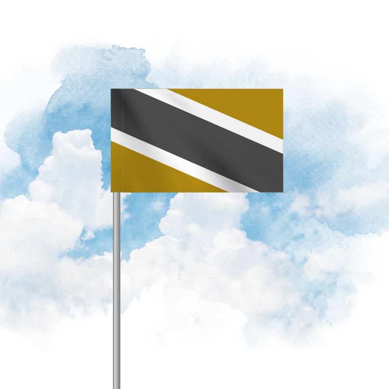 Nylon Flag
